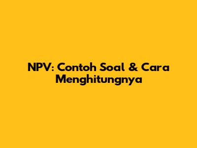 NPV: Contoh Soal & Cara Menghitungnya