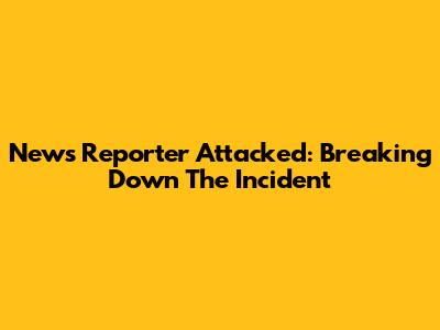 News Reporter Attacked: Breaking Down The Incident
