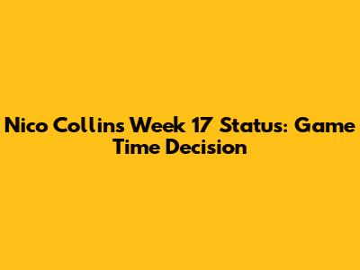 Nico Collins' Week 17 Status: Game Time Decision