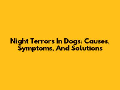 Night Terrors In Dogs: Causes, Symptoms, And Solutions