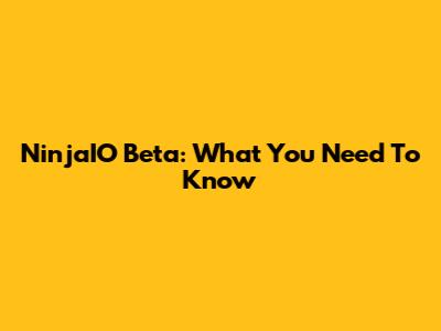 NinjaIO Beta: What You Need To Know