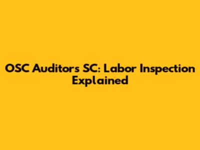 OSC Auditors SC: Labor Inspection Explained