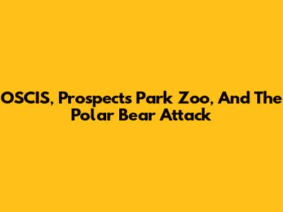 OSCIS, Prospects Park Zoo, And The Polar Bear Attack