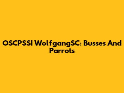 OSCPSSI WolfgangSC: Busses And Parrots