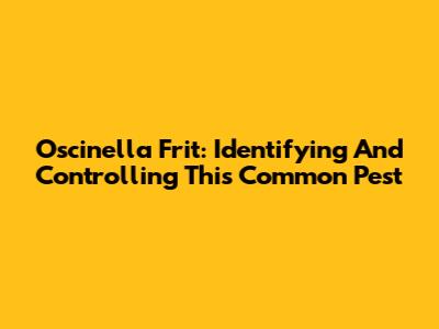Oscinella Frit: Identifying And Controlling This Common Pest