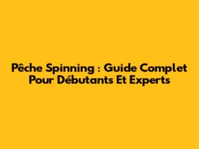Pêche Spinning : Guide Complet Pour Débutants Et Experts