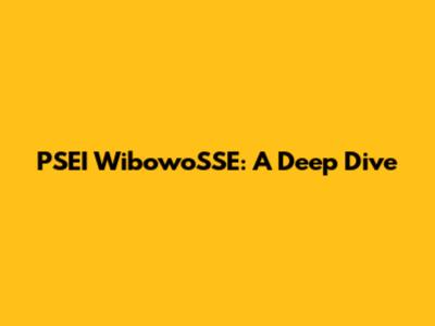 PSEI WibowoSSE: A Deep Dive