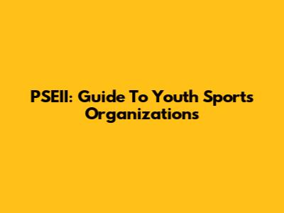 PSEII: Guide To Youth Sports Organizations