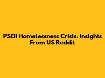 PSEII Homelessness Crisis: Insights From US Reddit
