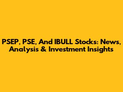PSEP, PSE, And IBULL Stocks: News, Analysis & Investment Insights