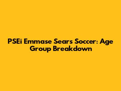PSEi Emmase Sears Soccer: Age Group Breakdown