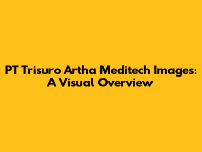 PT Trisuro Artha Meditech Images: A Visual Overview