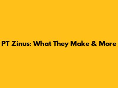 PT Zinus: What They Make & More