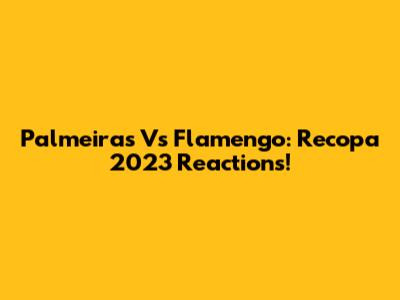 Palmeiras Vs Flamengo: Recopa 2023 Reactions!