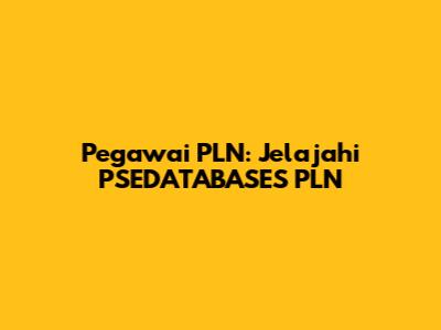 Pegawai PLN: Jelajahi PSEDATABASES PLN