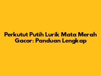 Perkutut Putih Lurik Mata Merah Gacor: Panduan Lengkap