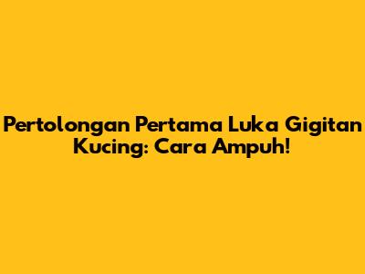 Pertolongan Pertama Luka Gigitan Kucing: Cara Ampuh!