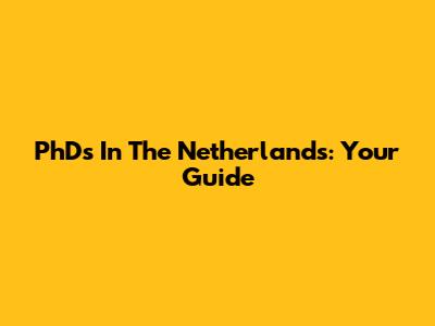 PhDs In The Netherlands: Your Guide