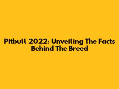 Pitbull 2022: Unveiling The Facts Behind The Breed