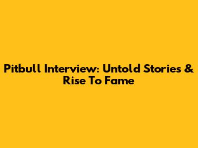 Pitbull Interview: Untold Stories & Rise To Fame