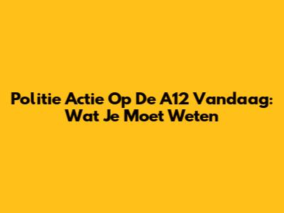 Politie Actie Op De A12 Vandaag: Wat Je Moet Weten