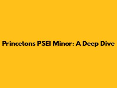 Princeton's PSEI Minor: A Deep Dive