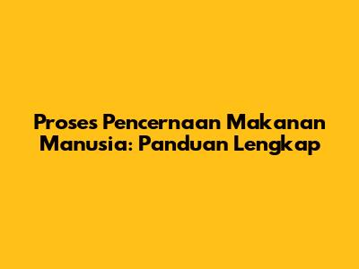 Proses Pencernaan Makanan Manusia: Panduan Lengkap