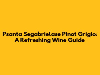 Psanta Segabrielase Pinot Grigio: A Refreshing Wine Guide