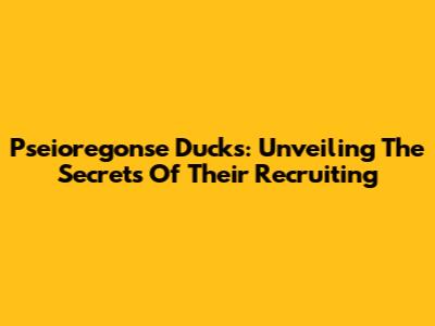 Pseioregonse Ducks: Unveiling The Secrets Of Their Recruiting