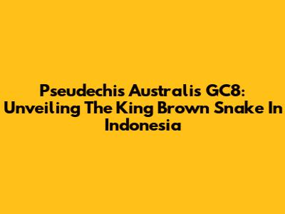 Pseudechis Australis GC8: Unveiling The King Brown Snake In Indonesia