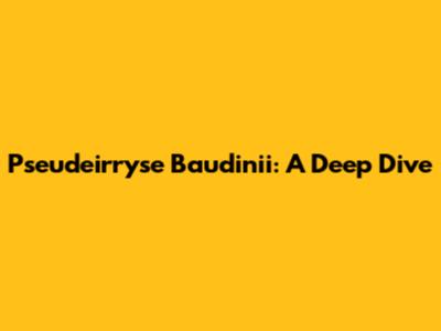 Pseudeirryse Baudinii: A Deep Dive