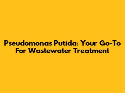 Pseudomonas Putida: Your Go-To For Wastewater Treatment