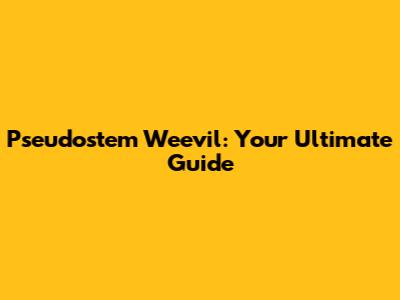Pseudostem Weevil: Your Ultimate Guide