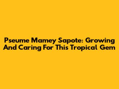 Pseume Mamey Sapote: Growing And Caring For This Tropical Gem