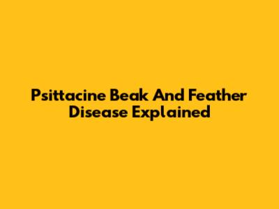 Psittacine Beak And Feather Disease Explained