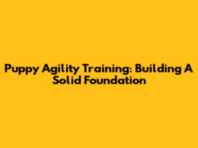 Puppy Agility Training: Building A Solid Foundation