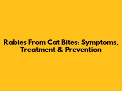 Rabies From Cat Bites: Symptoms, Treatment & Prevention