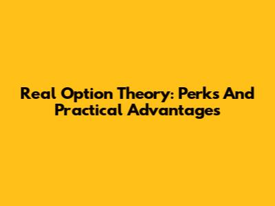 Real Option Theory: Perks And Practical Advantages