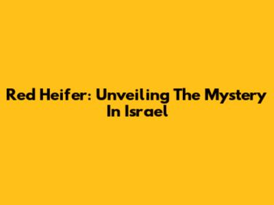 Red Heifer: Unveiling The Mystery In Israel