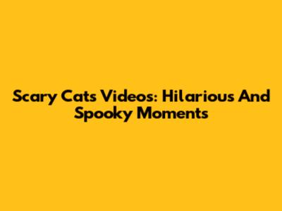Scary Cats Videos: Hilarious And Spooky Moments