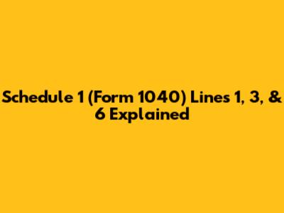 Schedule 1 (Form 1040) Lines 1, 3, & 6 Explained