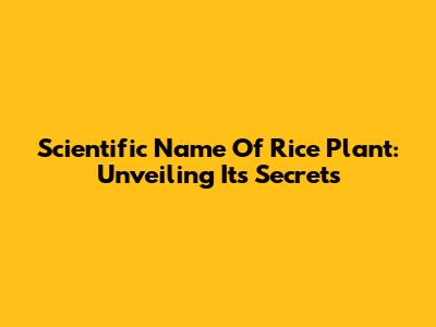 Scientific Name Of Rice Plant: Unveiling Its Secrets