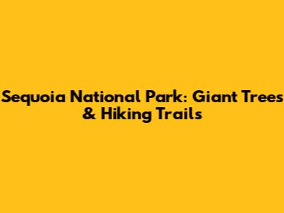 Sequoia National Park: Giant Trees & Hiking Trails