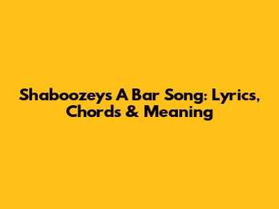 Shaboozey's 'A Bar Song': Lyrics, Chords & Meaning