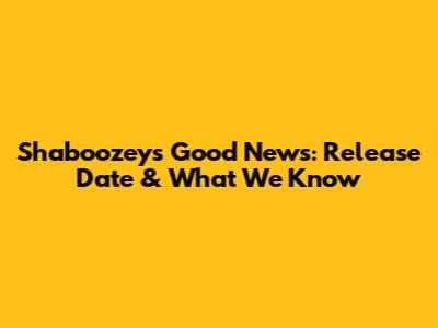 Shaboozey's 'Good News': Release Date & What We Know