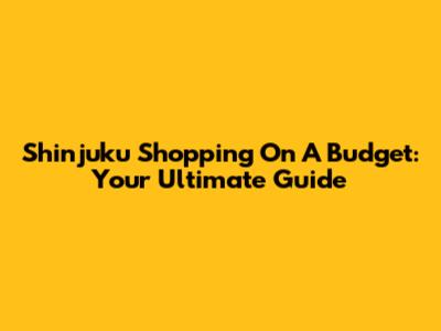 Shinjuku Shopping On A Budget: Your Ultimate Guide