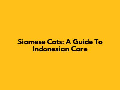 Siamese Cats: A Guide To Indonesian Care