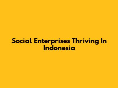 Social Enterprises Thriving In Indonesia