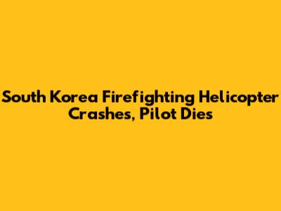 South Korea Firefighting Helicopter Crashes, Pilot Dies