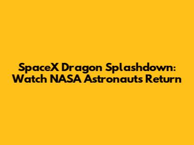 SpaceX Dragon Splashdown: Watch NASA Astronauts Return